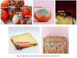 Detection of mold on the food surface using YOLOv5