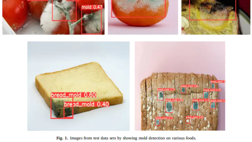 Detection of mold on the food surface using YOLOv5
